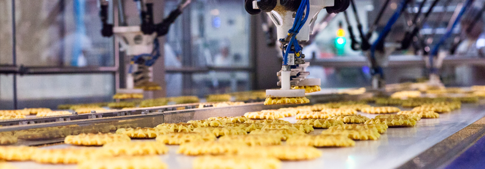 Close up of waffles on conveyor